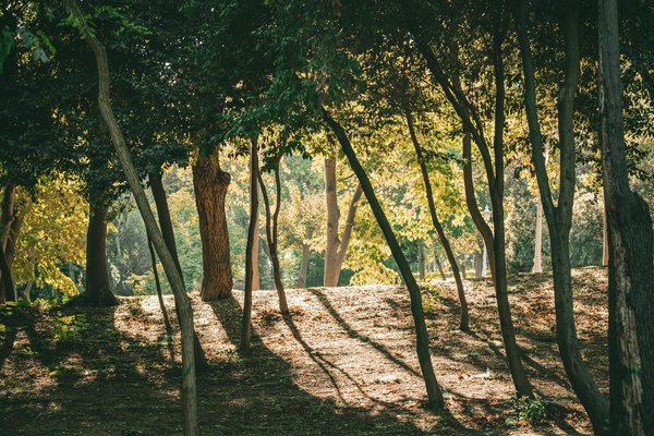 Comment la pleine conscience peut aider à combatte les insomnies