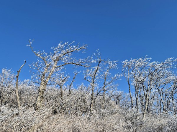 Découverte des remèdes naturels pour soulager les symptômes de l"endométriose